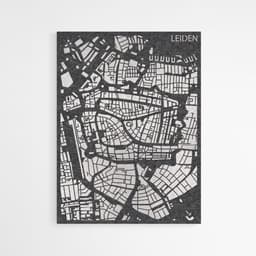 City Map Leiden pet-vilt