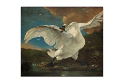Akoestisch schilderij van Jan Asselijn - de bedreigde zwaan