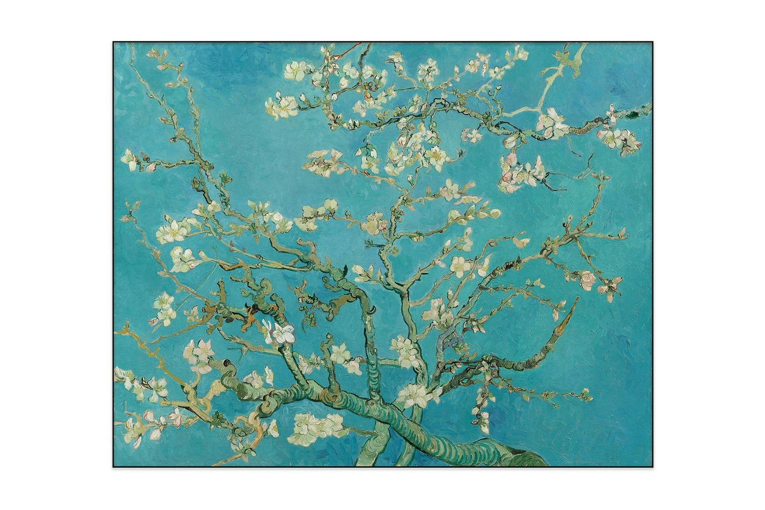 Fotopaneel - Vincent van Gogh - Amandelbloesem